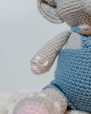 The Dreaming Elephant