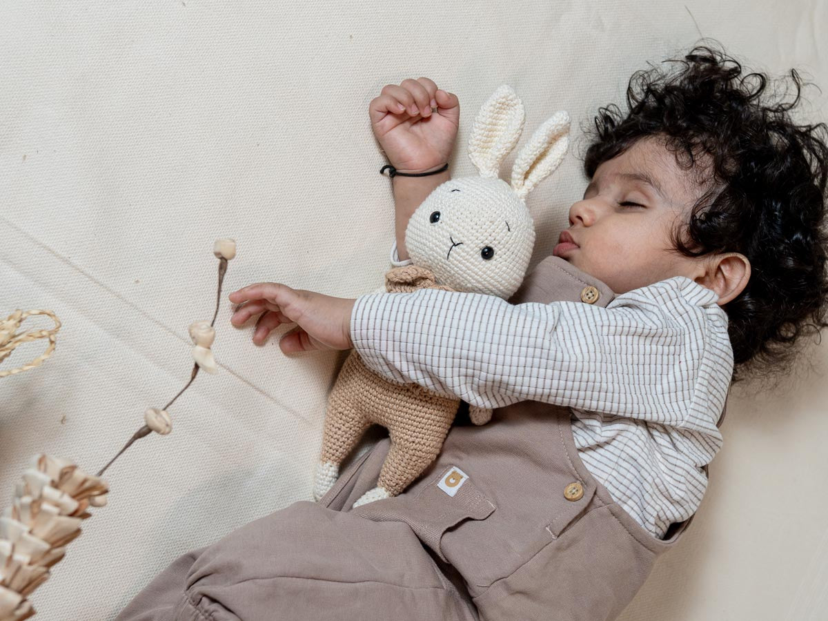 The Gentle Bunny
