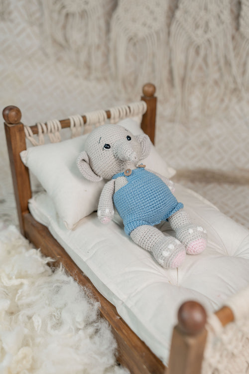 The Dreaming Elephant