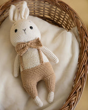 The Gentle Bunny