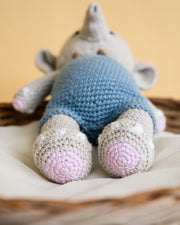 The Dreaming Elephant