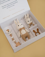 The Gentle Bunny Gift Set